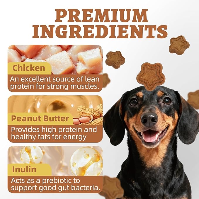 Just Try 15 OZ Dog Biscuits Peanut Butter Flavor Energy Boosting Immune Support Training Treats Healthy Dog Treats
