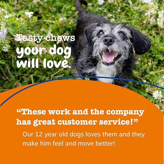 Zesty Paws Senior Dog Multivitamin Treats - Glucosamine for Dogs + Digestive Enzymes & Probiotics - Grain Free Dog Vitamins and Supplements for Skin & Coat + Immune Health Chicken - Advanced - 90ct