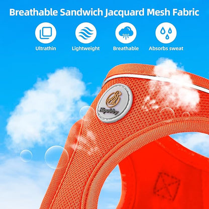 Hipubby Dog Harness and Leash Set, No Pull Soft Mesh Puppy Harness for Small Medium Dogs, Cats - Step in Reflective Breathable Lightweight Vest Harness for Walking, Training - Orange, S
