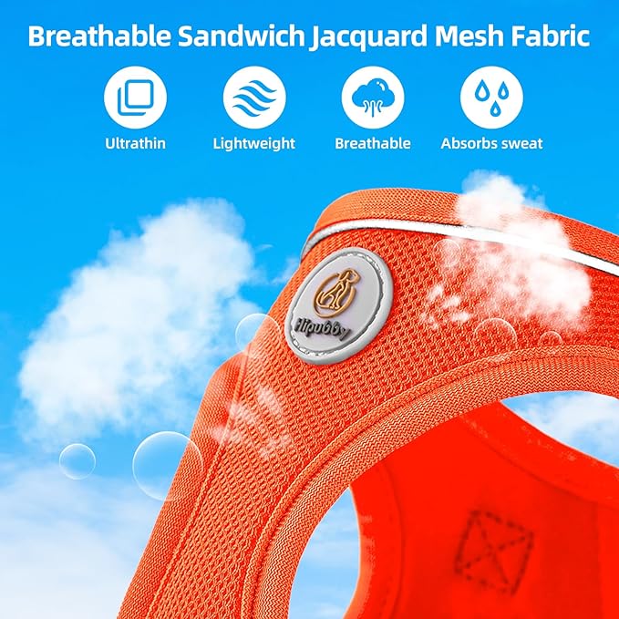 Hipubby Dog Harness and Leash Set, No Pull Soft Mesh Puppy Harness for Small Medium Dogs, Cats - Step in Reflective Breathable Lightweight Vest Harness for Walking, Training - Orange, XS