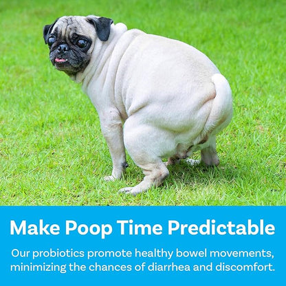 PawSafe® Dog Probiotics Soft Chews for Picky Eaters - USA Made, 120 Count - Digestive & Gut Health, Diarrhea, Gas Relief, Allergy & Itchy Skin Support - Natural with Pumpkin - Honey Chicken Flavor
