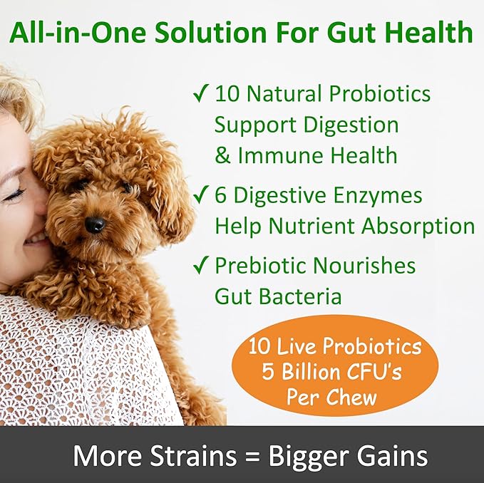TummyWorks Probiotics for Dogs. 120 Probiotic Soft Chews for Digestive Health, Gut, Immunity, Energy, Allergies, Skin & Coat. 10 Strains, 5 Billion CFUs with 6 Enzymes. Made in USA