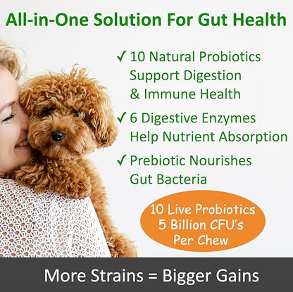 TummyWorks Probiotics for Dogs. 120 Probiotic Soft Chews for Digestive Health, Gut, Immunity, Energy, Allergies, Skin & Coat. 10 Strains, 5 Billion CFUs with 6 Enzymes. Made in USA