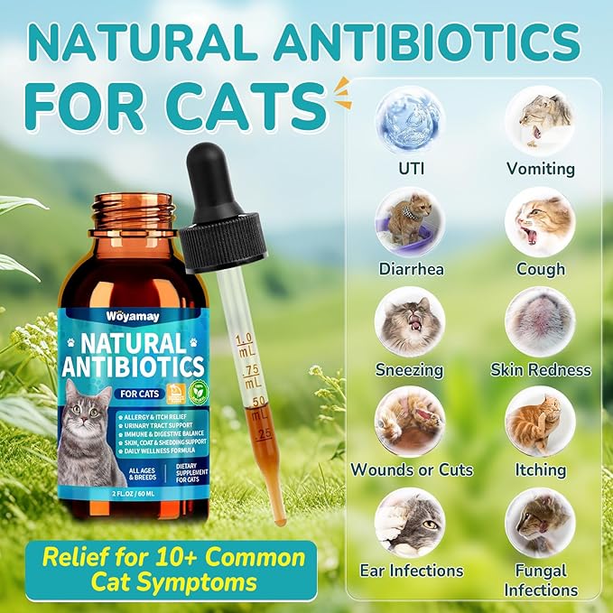Woyamay Antibiotics for Cats, Natural Antibiotic for Allergy Relief, Urinary Tract Health, Itch Relief & Digestion Care, Cat Allergy Relief for Cats, Cat Immune Support Supplement, 4 Fl Oz