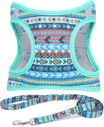 Moonpet Step in Boy Dog Harness Leash Set- All Weather Reflective No-Pull Padded Mesh Vest Harness for Cats Puppy Extra-Small Small Medium Large Dogs - Mayan Mysteries - XS