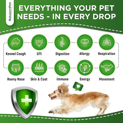 Natural Antibiotics for Dogs to Help with Allergies and UTIs | Kennel Cough Medicine for Dogs | Cat Antibiotics for Infection | Herbal Supplement is Excellent for All Breeds and Ages | 2 oz
