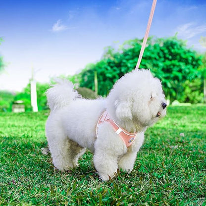 Hipubby Dog Harness and Leash Set, No Pull Soft Mesh Puppy Harness for Small Medium Dogs, Cats - Step in Reflective Breathable Lightweight Vest Harness for Walking, Training - Pink, XXS