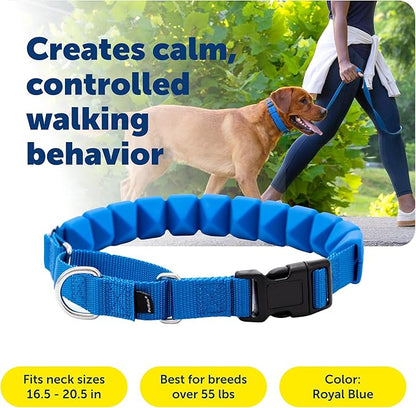 PetSafe Soft Point Training Collar - Comfortable No-Pull Adjustable Quick-Release Collar with Removable Soft Rubber Points - Pain-Free Training for Better Leash Manners - Large - Blue