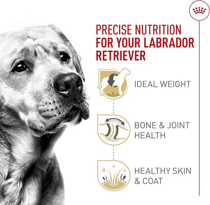 Royal Canin Breed Health Nutrition Labrador Retriever Adult Dry Dog Food, 17 lb Bag