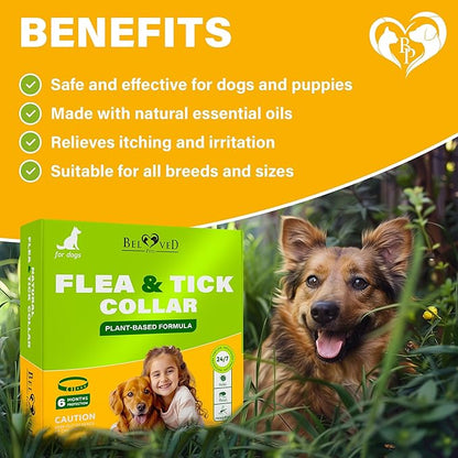 Natural Flea & Tick Collar for Dogs - 6 Months Control of Best Prevention & Safe Treatment - Anti Fleas and Ticks Essential Oil Repellent (1 Count (Pack of 1))