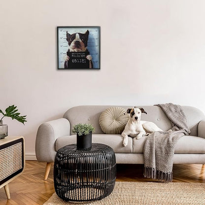 Stupell Industries Funny Boston Terrier Dog Jail Convicted Police, Design by Lucia Heffernan,Blue