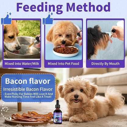 WEALLIN Dog Cough Treatment Support for Dogs - Dog Cough Care Natural Solution for Cough Natural Dog Cough Supplement Herbal Drops Support for All Breeds - 60 ml/2 Fl Oz