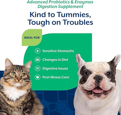 NaturVet – Advanced Probiotics & Enzymes - Plus Vet Strength PB6 Probiotic | Supports and Balances Pets with Sensitive Stomachs & Digestive Issues | for Dogs & Cats (8 oz)