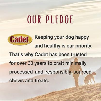 Cadet Stuffed Shin Bone, Long-Lasting Dog Chew Bones for Aggressive Chewers, High Protein Filled Bone Dental Chew for Dogs, Peanut Butter Flavor Filling, 5-6" for Large Dogs