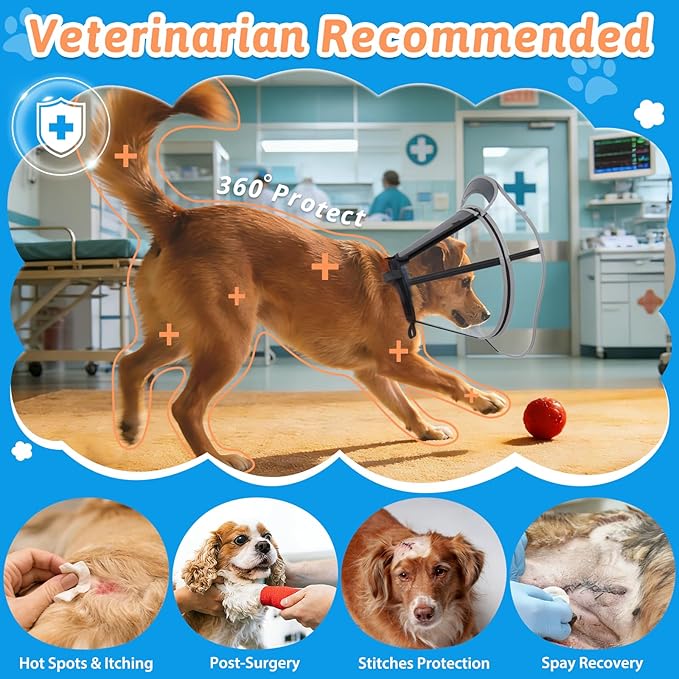 Extended Dog Cone to Stop Licking, Adjustable Depth, Transparent Recovery Collar for Large Medium Dogs, Soft E-Collar After Surgery Neuter with Reflective Strip for Night Visibility XXL