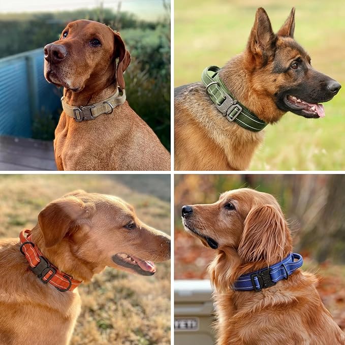 KCUCOP Heavy Duty Tactical Dog Collar and Leash Set, Military Training Nylon Reflective Collar with Handle Metal Buckle for Medium Large Dogs, Green, M (1 Patch Included)
