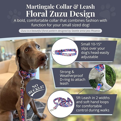 Lucky Love Dog Martingale Dog Collar & Leash - Adjustable, No-Slip, Durable, Comfortable, Soft Webbing, & Stylish Patterned Collar & Leash Set for Male and Female Dogs - Zuzu Combo, Small