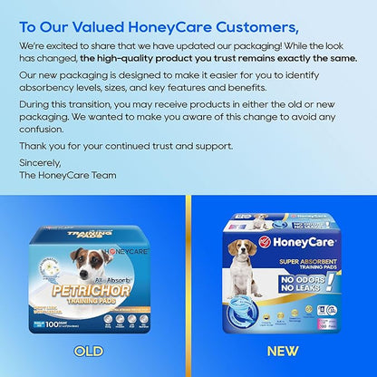 HONEY CARE All-Absorb A07 Bulk Packaging Training Pads, Blue, Large - 22" x 23" 200ct