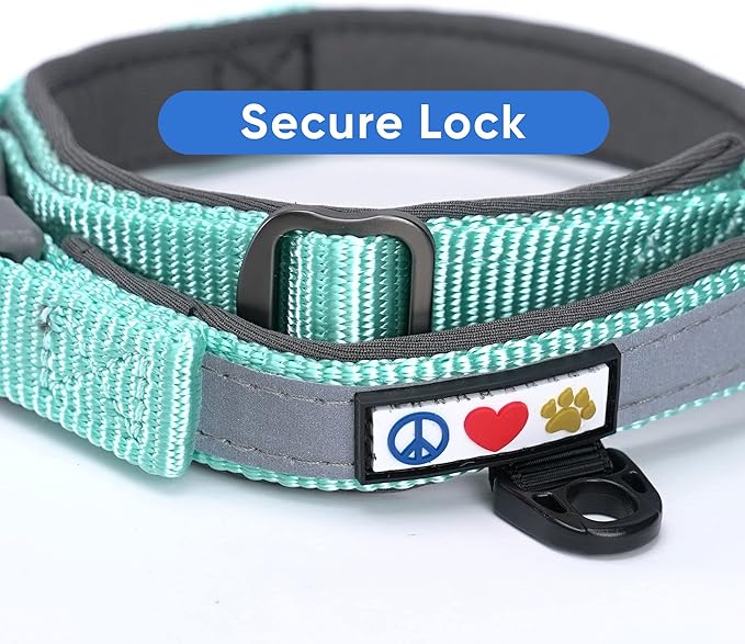 Pawtitas Lumberjack Padded Martingale Collar for Dogs | Soft Neoprene Dog Collar for Your pet's Comfort Made with Reflective Band for Maximum Visibility | Fits Small and Large Pets - Large Teal