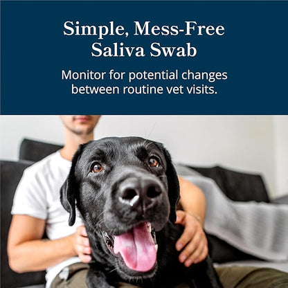Petivity At-Home Kidney Health Test Kit for Dogs — Quick Saliva Urea Test (2-Minute Home Check), Powered by Purina — Help Detect Early Kidney Changes - (Pack of 3)
