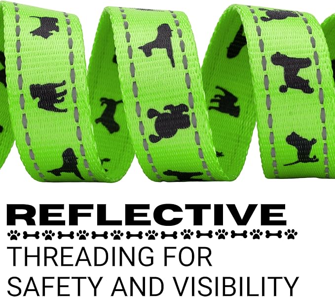 EcoBark Dog Leash - Soft & Reflective Comfort Leashes with Padded Handle - Safe, Strong, & Durable for Small, Medium or Large Dogs (Green)