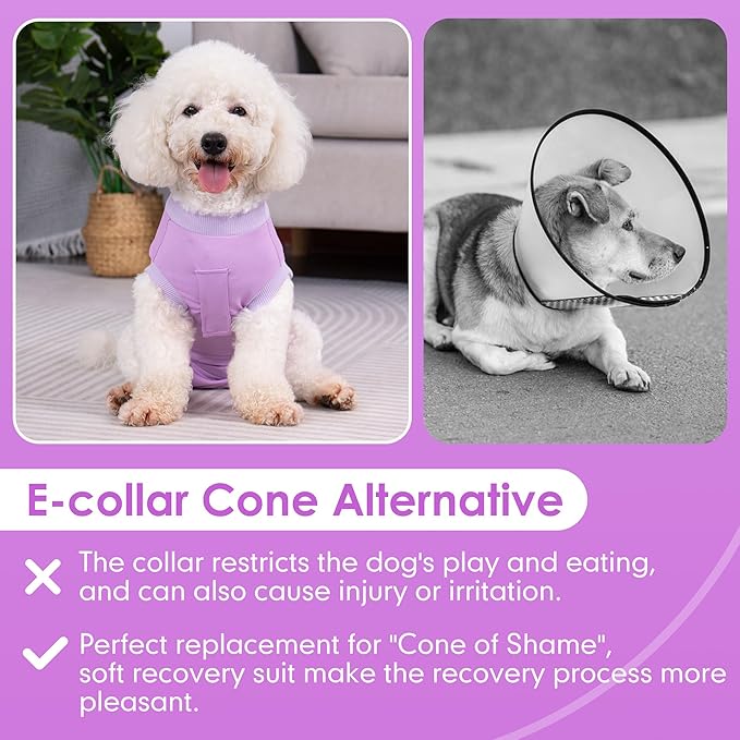 cyeollo Dog Surgery Recovery Suit Soft Breathable Female Male Pet Bodysuit for Spay, Neuter, Surgical Recovery Shirt for Small Medium Large Dogs, Purple, XS