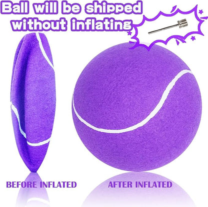 Banfeng Big Tennis Ball for Dogs, Giant Dog Tennis Ball Toy Large Outdoor Sports Gift for Small Medium Large Dog (Purple, 9.5 inch)