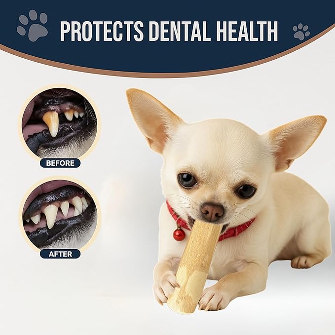 Set of 3 Coffee Wood Dog Chew Stick Toy, Natural and Real Wooden Bone Sticks for Pets, Safe Dental Cleaning Chews, Dog Health, Teeth Cleaning and Relieve Stress (Small Dogs)