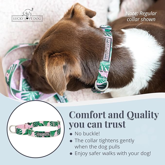 Lucky Love Dog Martingale Dog Collar - Adjustable, No-Slip, Comfortable, Durable, Soft Webbing & Stylish Patterned Collar for Male and Female Dogs Ideal for Training & Walking - Laguna, Medium