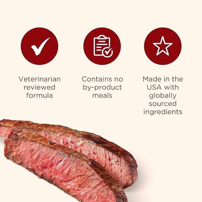 Nutrish Burger Bites Beef Recipe with Bison Premium Dog Treats, 5 oz. Pouch, Pack of 5 (Rachael Ray)