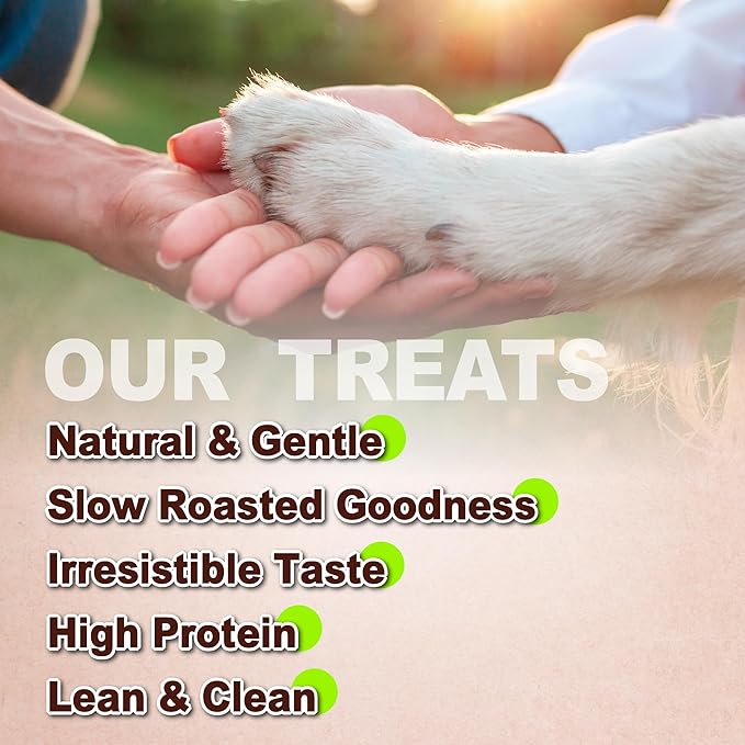 A Freschi srl Chicken Jerky for Dog, All Natural Dog Treat, High-Protein, Healthy & Easily Digestible, Grain-Free Puppy Chews, Training & Rewards Dog Snacks, Chicken Breast Jerky, 16 oz Pack
