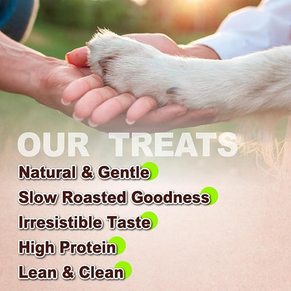 A Freschi srl Chicken Jerky for Dog, All Natural Dog Treat, High-Protein, Healthy & Easily Digestible, Grain-Free Puppy Chews, Training & Rewards Dog Snacks, Chicken Breast Jerky, 16 oz Pack