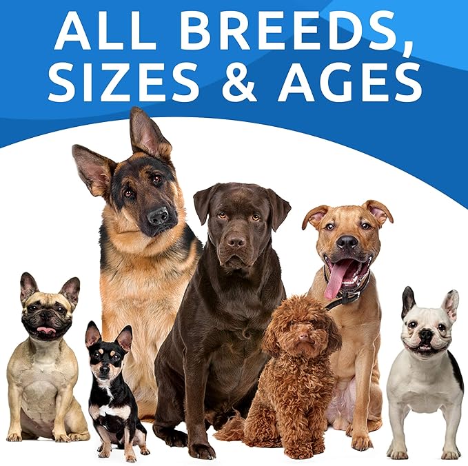 BARK&SPARK Dog Allergy Relief Soft Chews for Skin Health & Seasonal Allergies - Anti-Itch Supplement w/Omega-3, Quercetin & Bromelain Immune Treats for Dry Skin & Hot Spots - Peanut Butter - 240ct