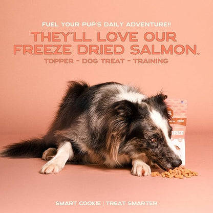Smart Cookie Freeze Dried Salmon Bites - Single Ingredient Freeze Dried Treats for Dogs - Wild Caught Alaskan Salmon Dog Training Treats & Dog Food Topper - Made in USA - 2oz Bag, 1 Pack