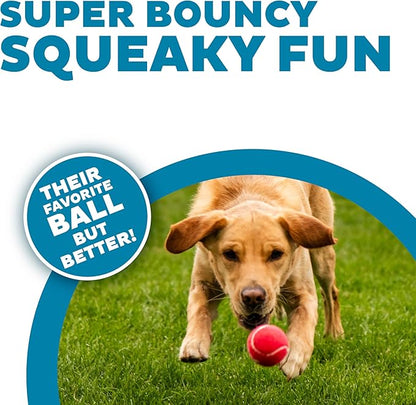 Outward Hound Squeaker Ballz – Squeaky Tennis Balls for Dogs Under 50 lbs, Interactive Dog Toy for Fetch & Training, Medium (2.5"), 4‑Pack