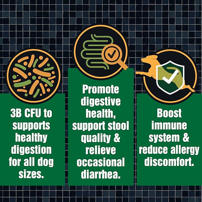 Army Soldier Owned Dog Probiotics for Yeast, Itchy Skin & Itchy Ears, Dog Allergy Relief, Digestive Health, Occasional Diarrhea & Immune Support, 3 Billion CFU, 60 Yummy Chewables