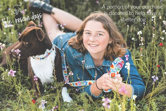 Lucky Love Dog - Adjustable Dog Collar with Easy Click Buckle for Medium, Durable, & Comfortable for Male & Female Dogs, Pet Collar for Puppies & Adult Dogs - Ladybird, Medium