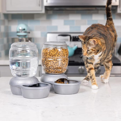 Petmate Replendish Feeder with Automatic Cat and Dog Feeder Grey, 2lb, Made in USA