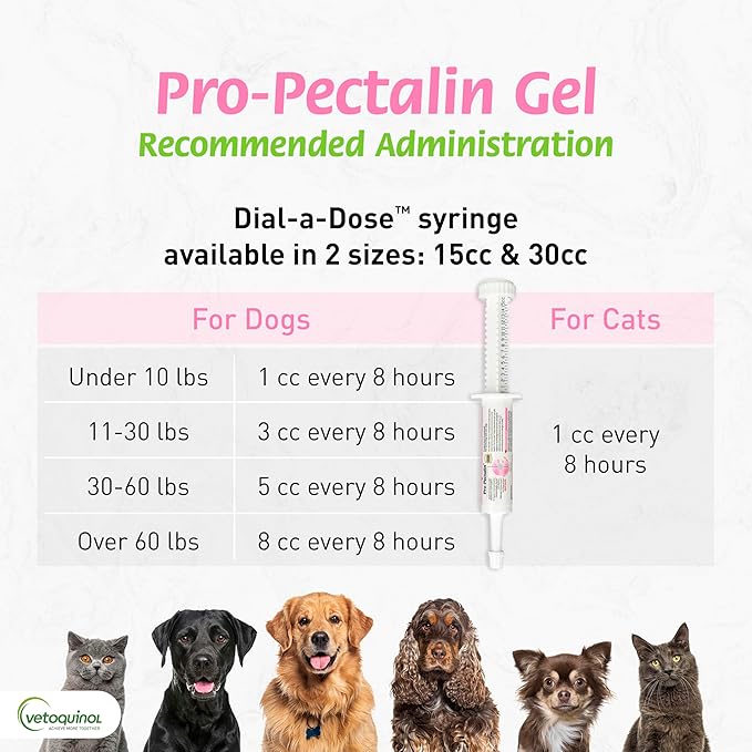 Vetoquinol Pro-Pectalin Oral Paste for Dogs & Cats, Helps Relieve Occasional Diarrhea, Situational Diarrhea Relief with Kaolin and Pectin, Contains Beneficial Probiotic Bacteria, 30cc - Pack of 2