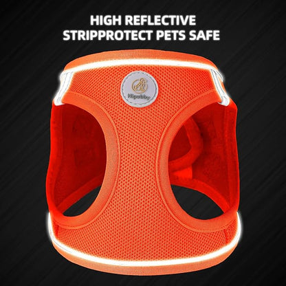 Hipubby Dog Harness and Leash Set, No Pull Soft Mesh Puppy Harness for Small Medium Dogs, Cats - Step in Reflective Breathable Lightweight Vest Harness for Walking, Training - Orange, S