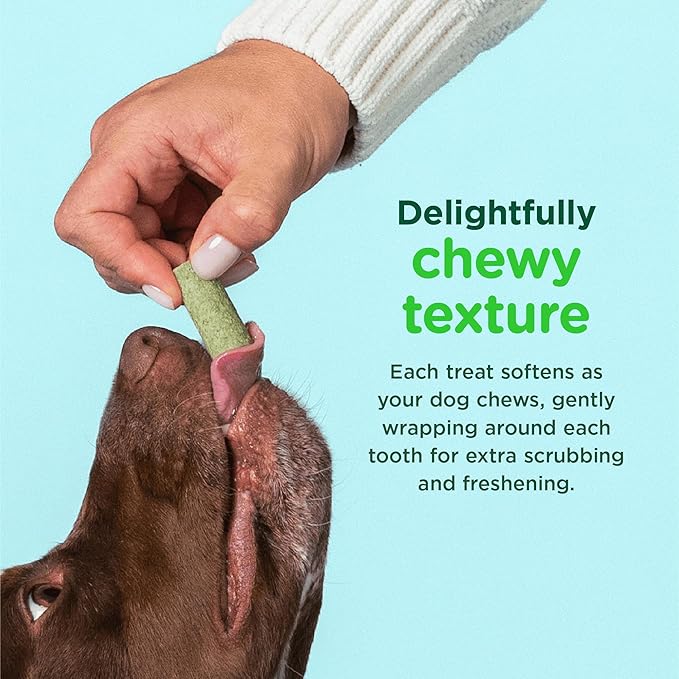 Minties FreshBites Soft and Chewy Dental Treats, Low Calorie Natural Mint Flavored Dental Chews for Dogs, 50 Count, Dog Chews Clean Teeth, Fight Bad Breath, Removes Plaque and Tartar