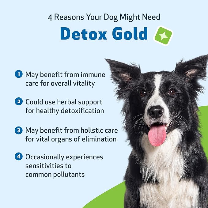 Pet Wellbeing Detox Gold for Dogs - Gentle Detoxification & Elimination Support, Immune System Care, Nettle, Blessed Thistle, Burdock Root - Veterinarian-Formulated Herbal Supplement 2 oz (59 ml)