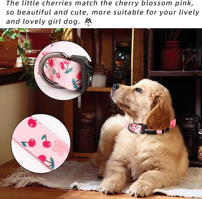 QQPETS Adjustable Soft Dog Collar: Print Flower Pink Multicolor Cute Patterns for XS Small Medium Large Pet Girl Boy Puppy Walking Running Training (M, Sakura Pink)