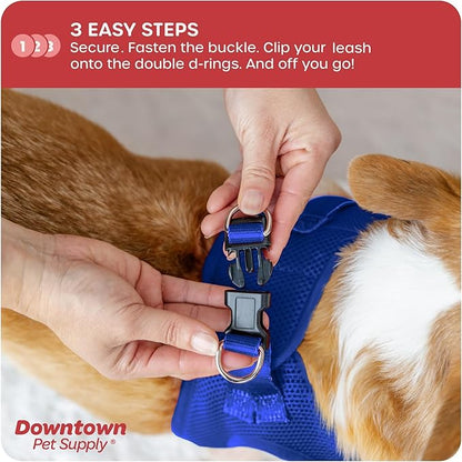 Downtown Pet Supply Step-in Dog Harness – No Pull, Adjustable Padded Mesh with Reflective Trim, Secure Buckle Strap – Comfortable & Breathable Small Dog Harness, Small, Blue