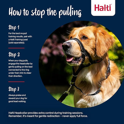 Halti Headcollar - Stop Your Dog Pulling on the Leash. Adjustable, Reflective and Lightweight, with Padded Nose Band. Dog Training Anti-Pull Collar for Small Dogs (Size 1, Red)
