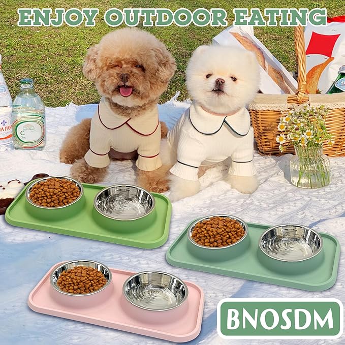 BNOSDM Double Dog Food Bowls Stainless Steel Dog Food and Water Bowls with Non-Spill Plastic Mat Pet Cat Feeder Bowl Set for Puppy Cats Kitten Small Medium Dogs Green