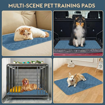 FunFurry Washable Pee Pads for Dogs - 2 Pack Reusable Pee Pads，Waterproof Puppy Pads，Pet Training Pads，Super Absorbent with Dog Paw Shape Non-Slip Backing (Blue, 31" X 36" - 2 Pack)