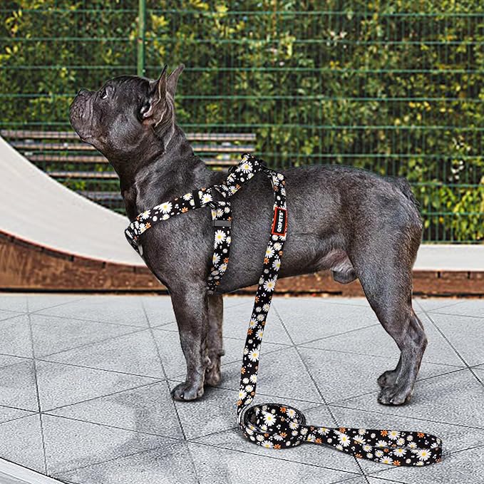 QQPETS Dog Harness Leash Set Adjustable Heavy Duty No Pull Halter Harnesses for Small Medium Large Breed Dogs Back Clip Anti-Twist Perfect for Walking (M(19"-26" Chest Girth), White Daisy)
