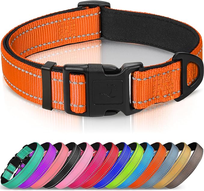 Joytale Reflective Dog Collar, Soft Neoprene Padded, Metal D-Ring, Nylon Pet Collar Adjustable for Medium Dogs, Orange, M