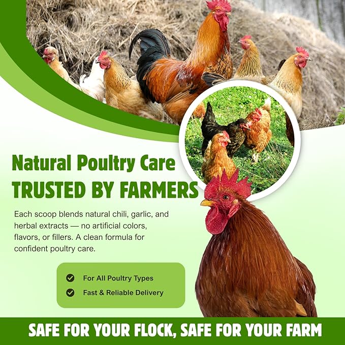 Natural Chicken Chili Mix De-Wormer Powder | 1LB | Promotes Balanced Digestive Wellness | Egg-Safe Chicken Wormer | Poultry Care for All Ages & Sizes